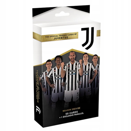 juve 21-22 fan set.png