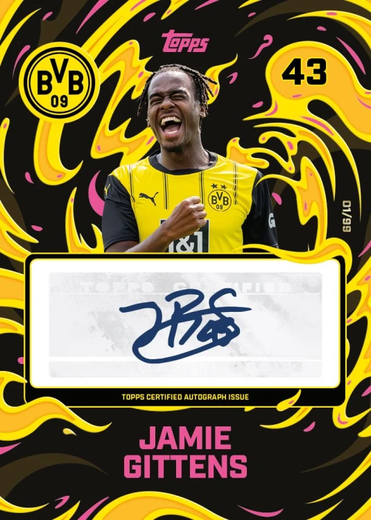 team-set-bvb_3.jpg
