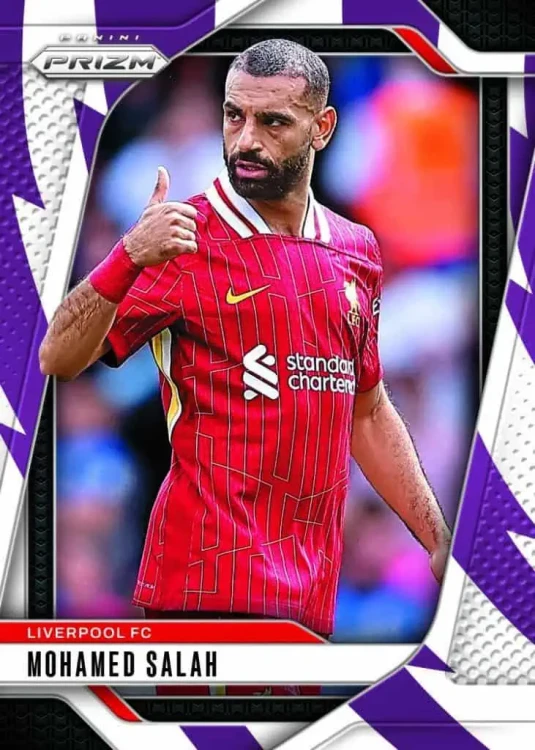 25-EPl-1-731x1024.webp
